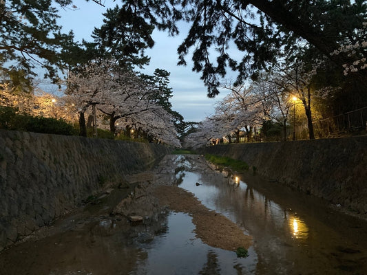 From Nishinomiya to the World: The Heart of RYBrandshop’s Journey - RYBrandshop